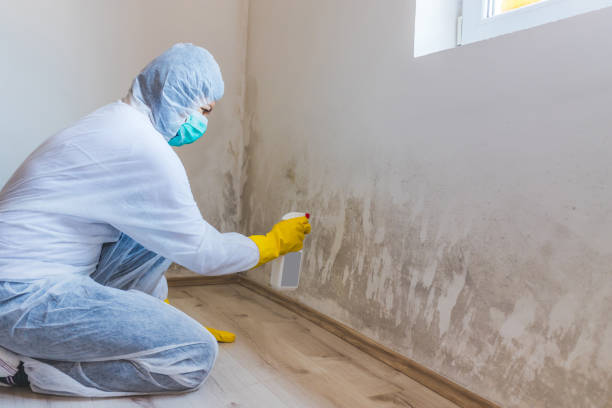 Licensed Mold Testing service in Poolesville, MD - WQB Mold Removal
