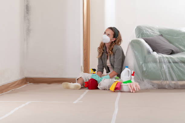 Reliable Mold Testing contractor in Poolesville, MD by WQB Mold Removal