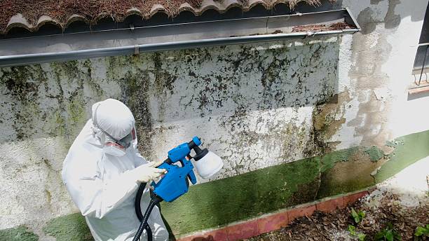 Top rated local Mold Testing specialists in Poolesville, MD